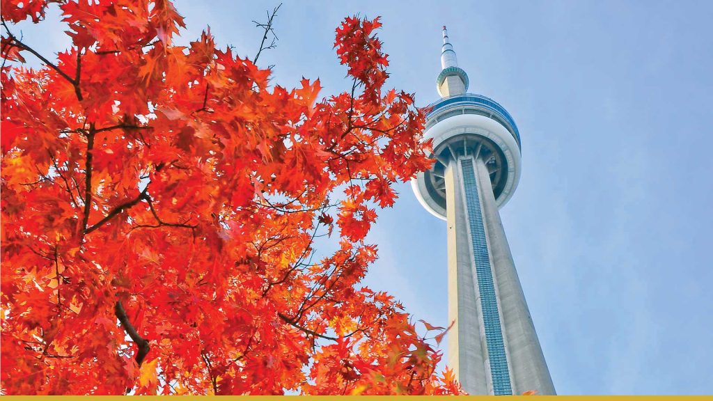 Market Report September 2020