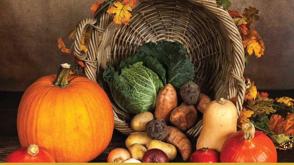Market report October 2021
