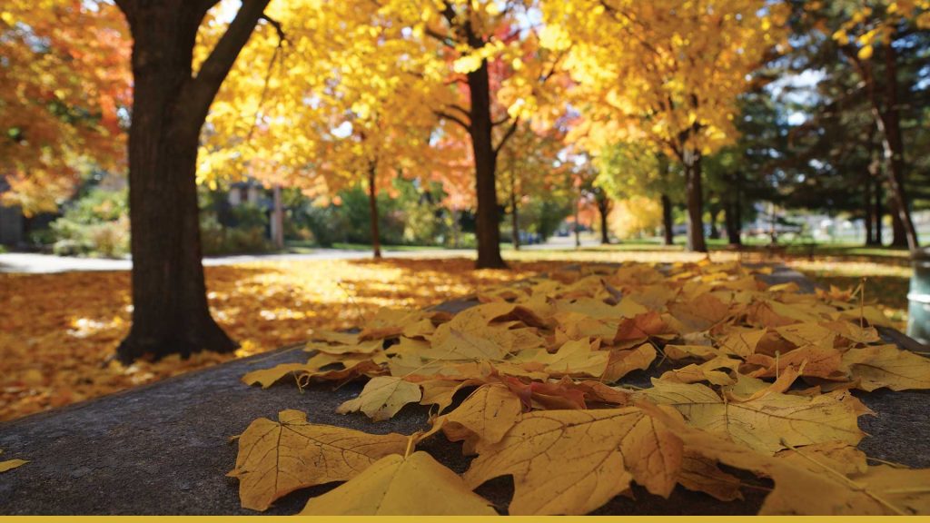 Market report November 2021