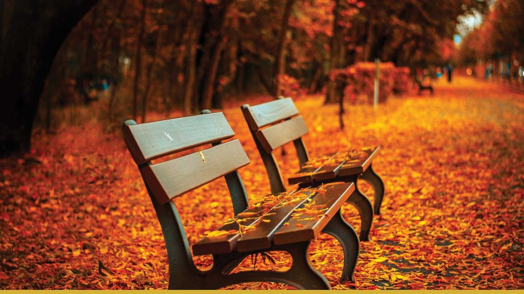 Selling buying fall Toronto